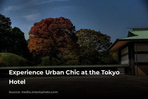 Experience Urban Chic at the Tokyo Dome Hotel