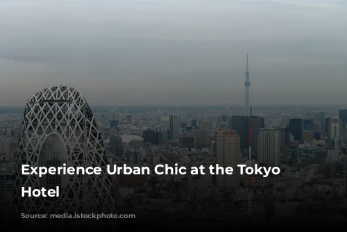 Experience Urban Chic at the Tokyo Dome Hotel