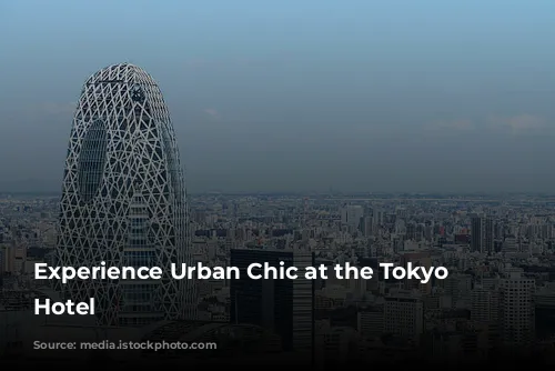 Experience Urban Chic at the Tokyo Dome Hotel