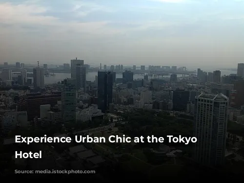 Experience Urban Chic at the Tokyo Dome Hotel