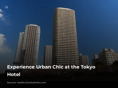 Experience Urban Chic at the Tokyo Dome Hotel