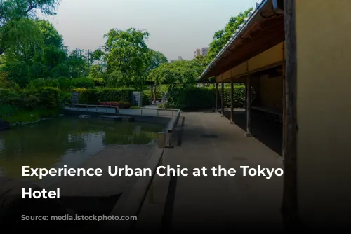 Experience Urban Chic at the Tokyo Dome Hotel