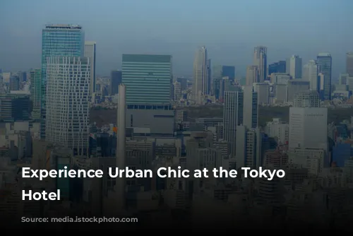 Experience Urban Chic at the Tokyo Dome Hotel