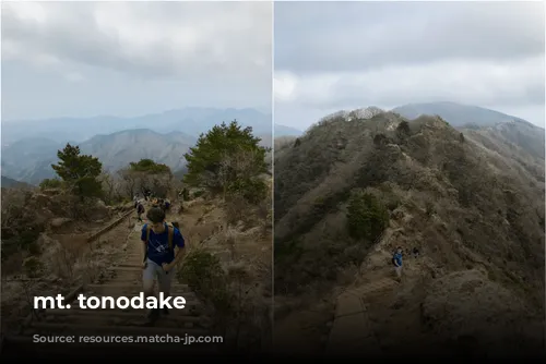 mt. tonodake