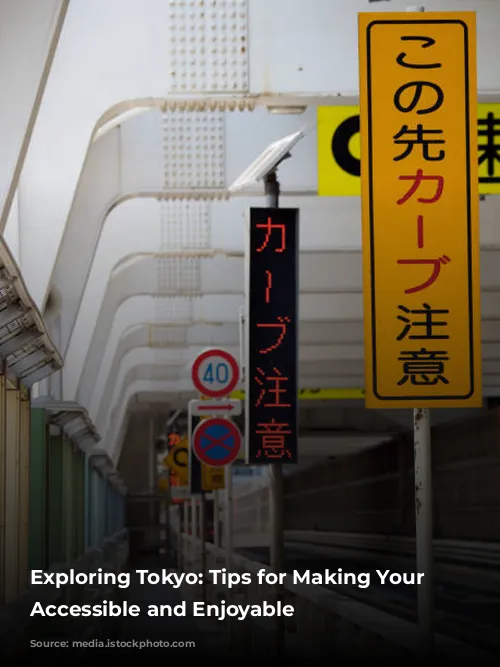 Exploring Tokyo: Tips for Making Your Trip Accessible and Enjoyable