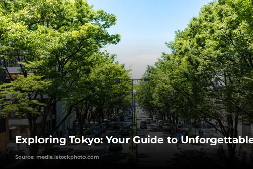 Exploring Tokyo: Your Guide to Unforgettable Experiences