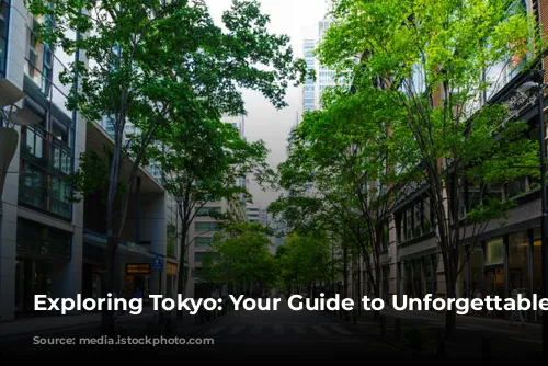 Exploring Tokyo: Your Guide to Unforgettable Experiences