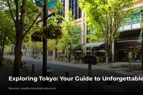 Exploring Tokyo: Your Guide to Unforgettable Experiences