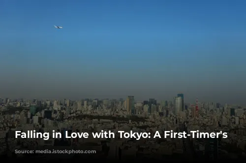 Falling in Love with Tokyo: A First-Timer's Guide