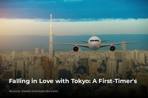 Falling in Love with Tokyo: A First-Timer's Guide