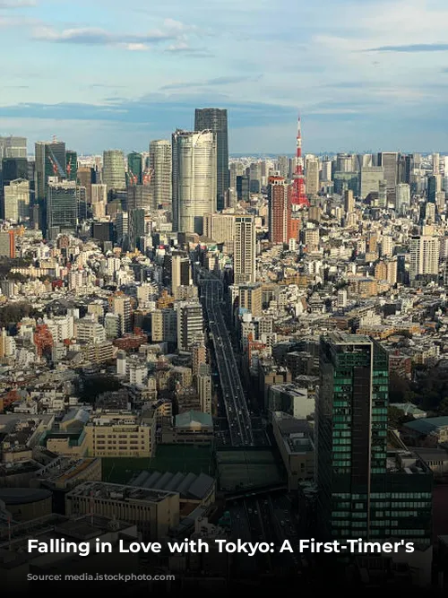 Falling in Love with Tokyo: A First-Timer's Guide