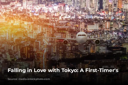 Falling in Love with Tokyo: A First-Timer's Guide