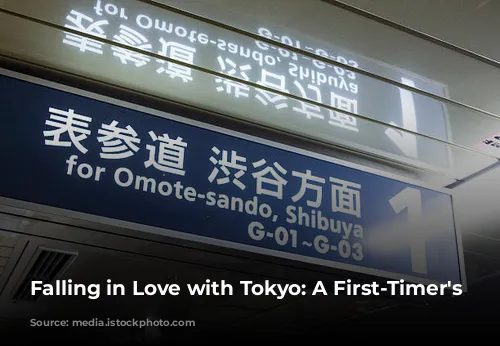 Falling in Love with Tokyo: A First-Timer's Guide