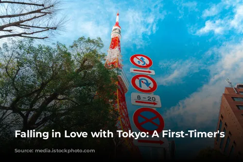 Falling in Love with Tokyo: A First-Timer's Guide