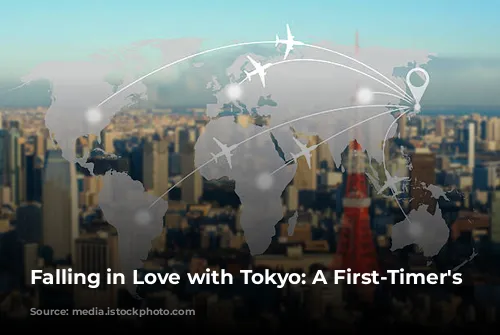 Falling in Love with Tokyo: A First-Timer's Guide