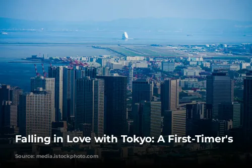 Falling in Love with Tokyo: A First-Timer's Guide