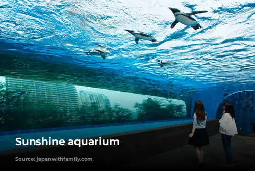 Sunshine aquarium