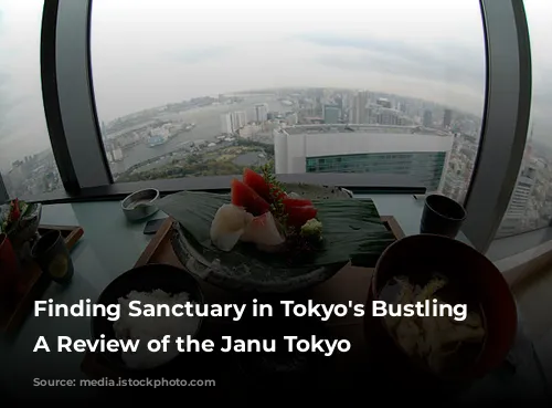 Finding Sanctuary in Tokyo's Bustling City: A Review of the Janu Tokyo