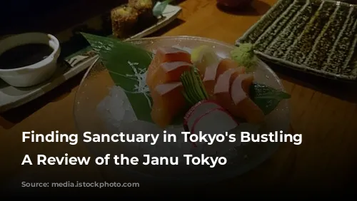 Finding Sanctuary in Tokyo's Bustling City: A Review of the Janu Tokyo