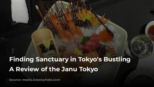 Finding Sanctuary in Tokyo's Bustling City: A Review of the Janu Tokyo