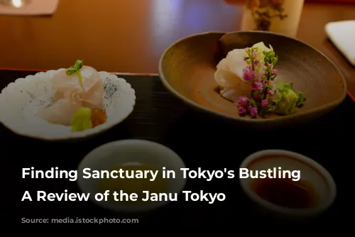 Finding Sanctuary in Tokyo's Bustling City: A Review of the Janu Tokyo