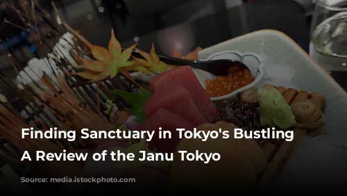 Finding Sanctuary in Tokyo's Bustling City: A Review of the Janu Tokyo