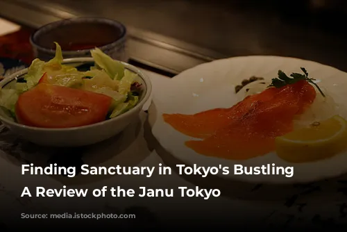 Finding Sanctuary in Tokyo's Bustling City: A Review of the Janu Tokyo