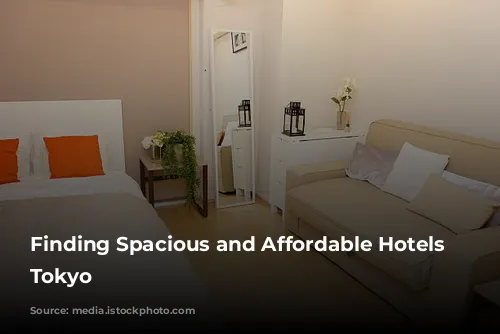 Finding Spacious and Affordable Hotels in Tokyo