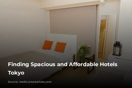 Finding Spacious and Affordable Hotels in Tokyo