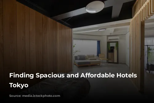 Finding Spacious and Affordable Hotels in Tokyo