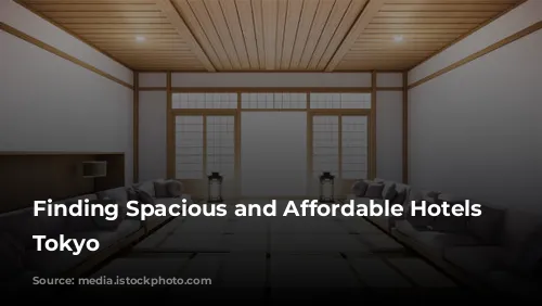 Finding Spacious and Affordable Hotels in Tokyo