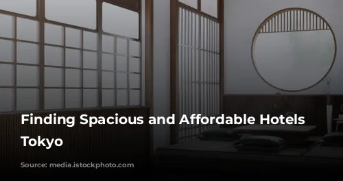 Finding Spacious and Affordable Hotels in Tokyo