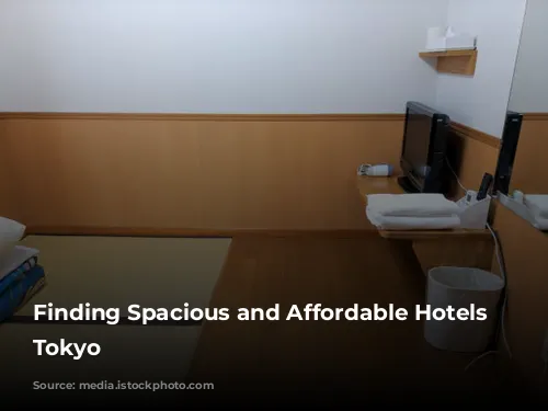 Finding Spacious and Affordable Hotels in Tokyo