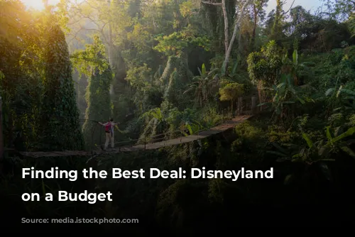 Finding the Best Deal: Disneyland Paris on a Budget