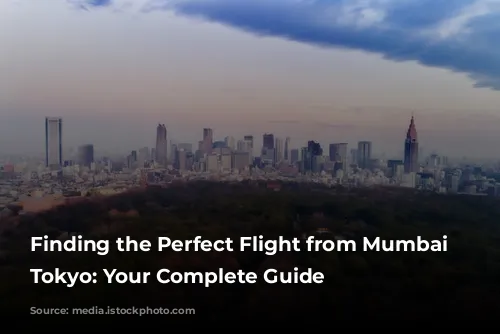 Finding the Perfect Flight from Mumbai to Tokyo: Your Complete Guide