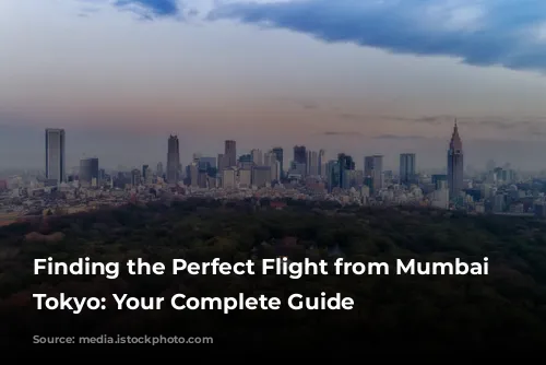 Finding the Perfect Flight from Mumbai to Tokyo: Your Complete Guide