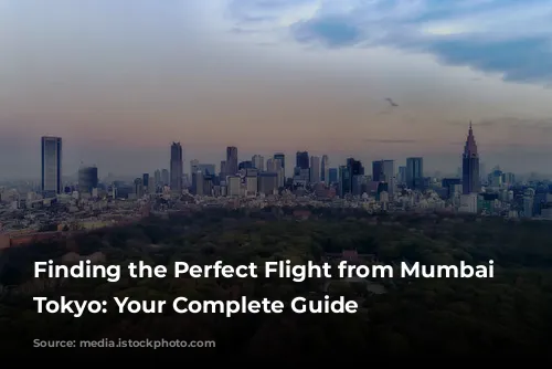 Finding the Perfect Flight from Mumbai to Tokyo: Your Complete Guide