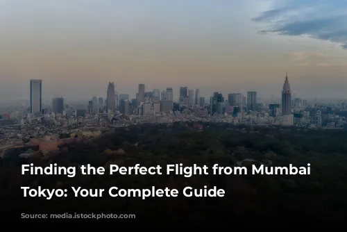 Finding the Perfect Flight from Mumbai to Tokyo: Your Complete Guide