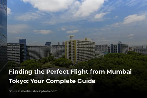 Finding the Perfect Flight from Mumbai to Tokyo: Your Complete Guide