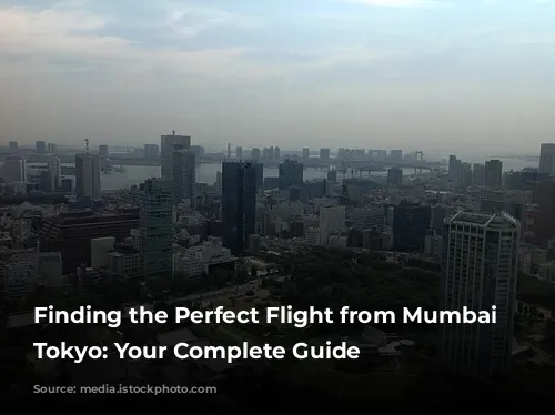 Finding the Perfect Flight from Mumbai to Tokyo: Your Complete Guide