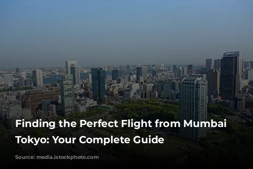 Finding the Perfect Flight from Mumbai to Tokyo: Your Complete Guide