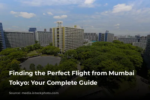 Finding the Perfect Flight from Mumbai to Tokyo: Your Complete Guide