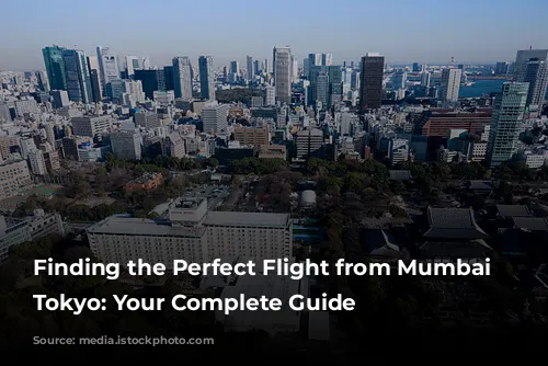 Finding the Perfect Flight from Mumbai to Tokyo: Your Complete Guide