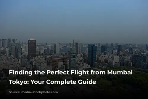 Finding the Perfect Flight from Mumbai to Tokyo: Your Complete Guide