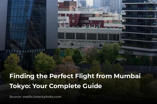 Finding the Perfect Flight from Mumbai to Tokyo: Your Complete Guide