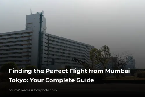 Finding the Perfect Flight from Mumbai to Tokyo: Your Complete Guide