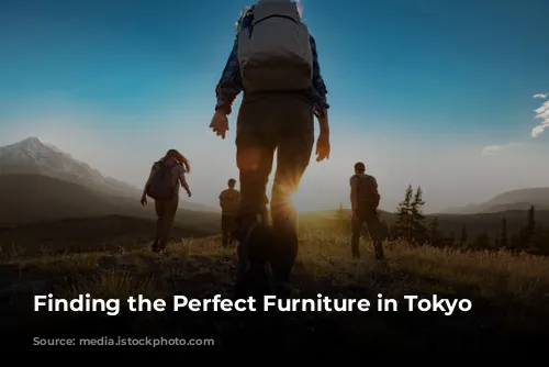 Finding the Perfect Furniture in Tokyo