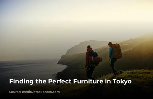 Finding the Perfect Furniture in Tokyo