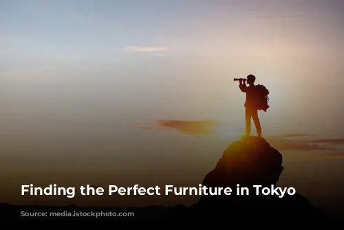 Finding the Perfect Furniture in Tokyo