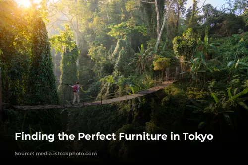 Finding the Perfect Furniture in Tokyo